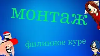 монтаж : филинное куре (новогоднее видео)