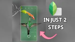 3d mobile frame Photo Editing | snapseed Tutorial | creative 3d mobile Camera