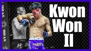 Kwon Won Il: striking breakdown
