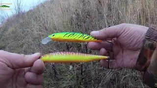 TWO OF THE CRANK, WHICH MADE FISHING. Pike for spinning in early November 2020.