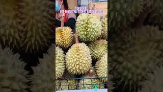 Tasty Thai Fruits You Can Choose 🍉 | Thai Street Food