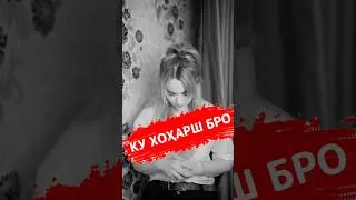 ШУША КАПИД #2024