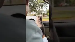 hasta el más fuerte llora