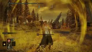 ELDEN RING™ Mage level 618 NG+ 5