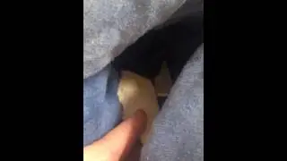 My female rat