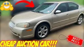 I BOUGHT THIS NISSAN NAXIMA FROM THE PUBLIC AUCTION & SOLD IT TO A ANNOYING CUSTOMER