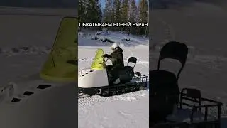 НОВЫЙ БУРАН, ЛАНЧИН 30 Л.С. ГУСЕНИЦА ПОЛЯРНИК