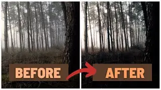 Make Your Videos LOOK CINEMATIC in Premiere Pro (20 Lut's)