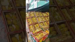 Pakistani mangoes in sparkhill Birmingham UK #shortfeed #mangoes #pakistanimangoes #shorts #short