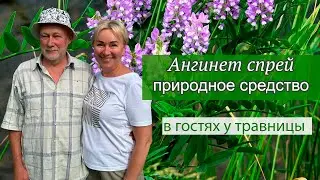 Ангинет — разработка российского учёного-биолога: первая помощь при ангине, гайморите и аденоидах.