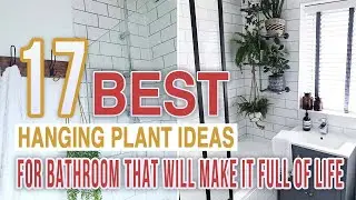 17  Best Hanging Plant Ideas For Bathroom That Will Make It Full Of Life