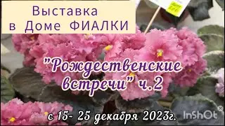 Фиалки -2023. Часть 2 Выставка с 15.12 - 25.12.23 г. 