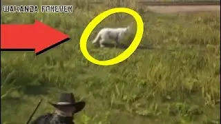 2 Idiots VS The White Panther