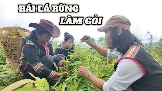 MÓN GỎI SIÊU NGON TỪ LÁ RỪNG ĐẶC SẢN KON TUM KHÔNG NƠI NÀO CÓ | Già Làng Tây Nguyên