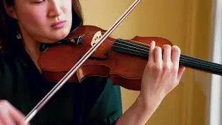 Dynamo strings from Thomastik.