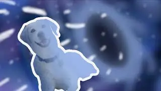 Doggo: Into the Confusion-Verse #filpacilpcut