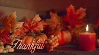 Thanksgiving Motion Background Package | Royalty Free Autumn Video Loops