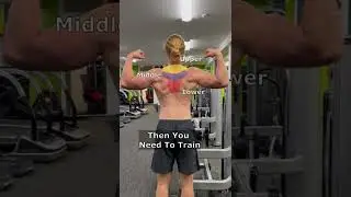 Trap Workout For Back Thickness 
