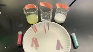 Litmus Paper Demonstration