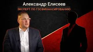 Бюро госфинансирования Александр Елисеев и партнёры