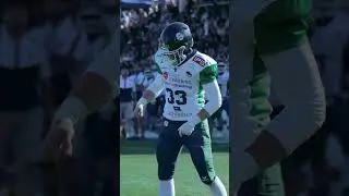 Spiders Game on