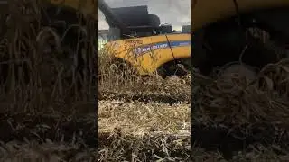 Застрял в грязи комбайн