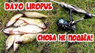Первое правило мормышинга - №1 НИКАКИХ ПРАВИЛ НЕ СУЩЕСТВУЕТ! :) Рыба КлюЁт как ей вздумается!