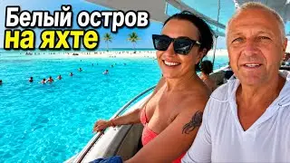 Акулы в Красном море нам не попались.Коралловый риф.Ныряем.Купаемся.Загораем.Шарм-эль-Шейх.