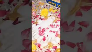 SHORTS Video 2024🆕/!!Baba Ki Mahre Che maje hi maje😎 Shankar Bagthala