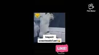 Johongir otajonov fanati ko'ringlar