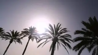 Silereth - Summertime (Free download)