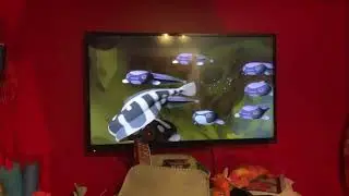 Creature report convict fish