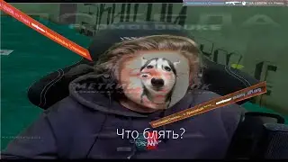 Пошёл 1 на 1 против пса (он в шоке от меня) | кс го