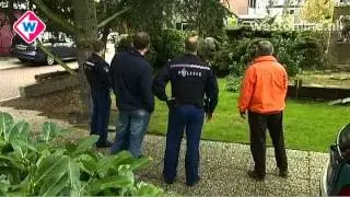 Damhert in woonwijk afgeschoten