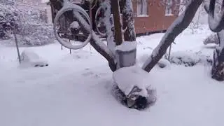 Вот и он!!!  Первый снег 23
