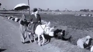 05 - فيلم الحرام 1965 DVBRip MkV-X264 تأليف يوسف ادريس