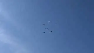 Голуби красиво летают