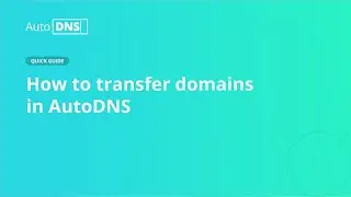 AutoDNS Quick Guide: Transfer domains