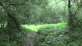 Велопоход по Карпатам