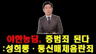 야한농담, 중범죄 된다: 성희롱·통신매체음란죄
