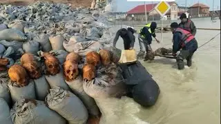 Уже видны Последствия паводка, Казахстан, кто виноват? пишите, обсудим.