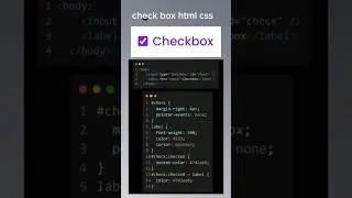 Checkbox Using HTML CSS 