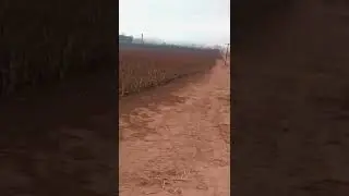 é bom ficar esperto vai que né 