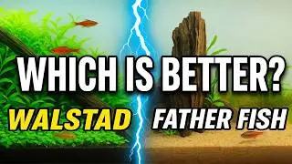 No-Filter Aquariums Tested: Walstad vs Father Fish Outcome!