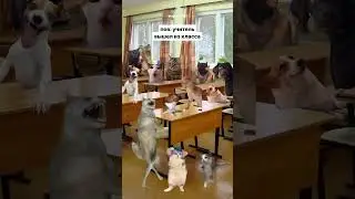 Когда учитель уходит из класса  😂🤣