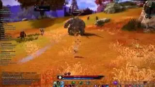 TERA online Elin Sorcerer LVL 23 - Kill Elite mob Radat CBT 3