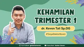 Fase dan Gejala Kehamilan Di Trimester 1 Pada Ibu Hamil | 