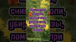 Сафлоровое и Тимьяновое масло в капсулах от Эрсаг.   