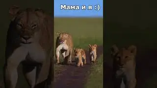 Мама и я :)  Shorts #cute #funny #смешное_видео