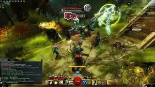Guild Wars 2 - Druid - Auric Basin - Octovine - Loot Run